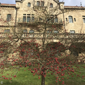 31. Medizin-Theologie-Symposium Wildbad, Rothenburg o.d.T.